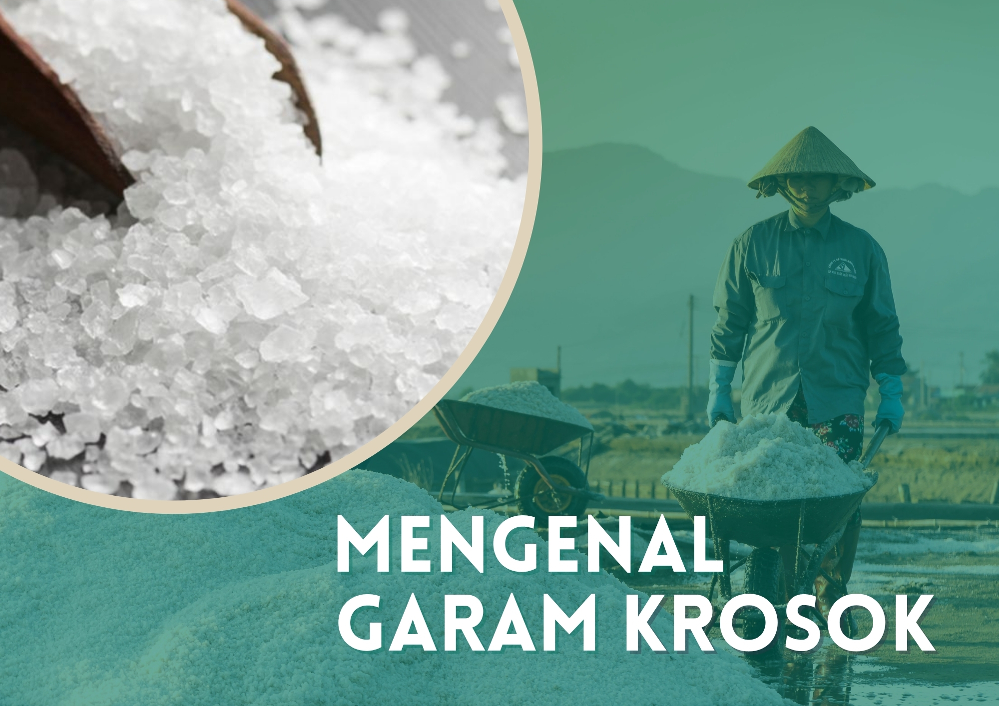 Mengenal Garam Krosok