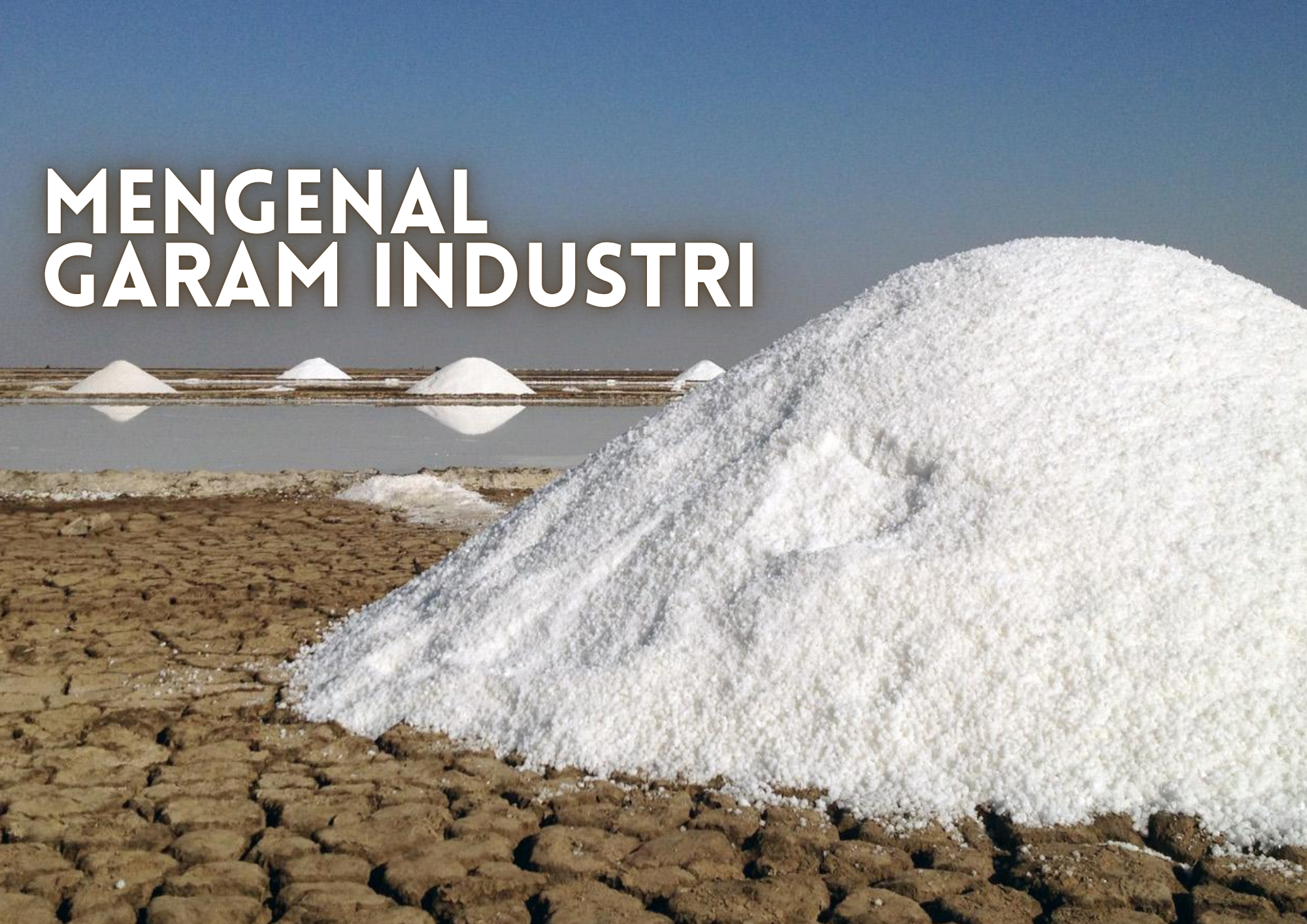 Mengenal Garam industri